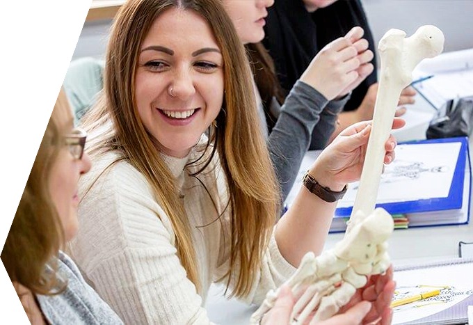 Schüler lernen am Material über Anatomie