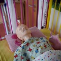 pädiatrische Pflegepuppe