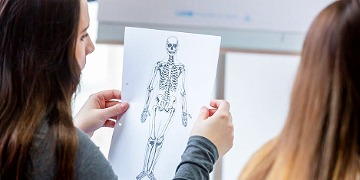 Zwischenprüfungen in der generalistischen Pflegeausbildung Schülerinnen lernen das Skelett des Menschen kennen.